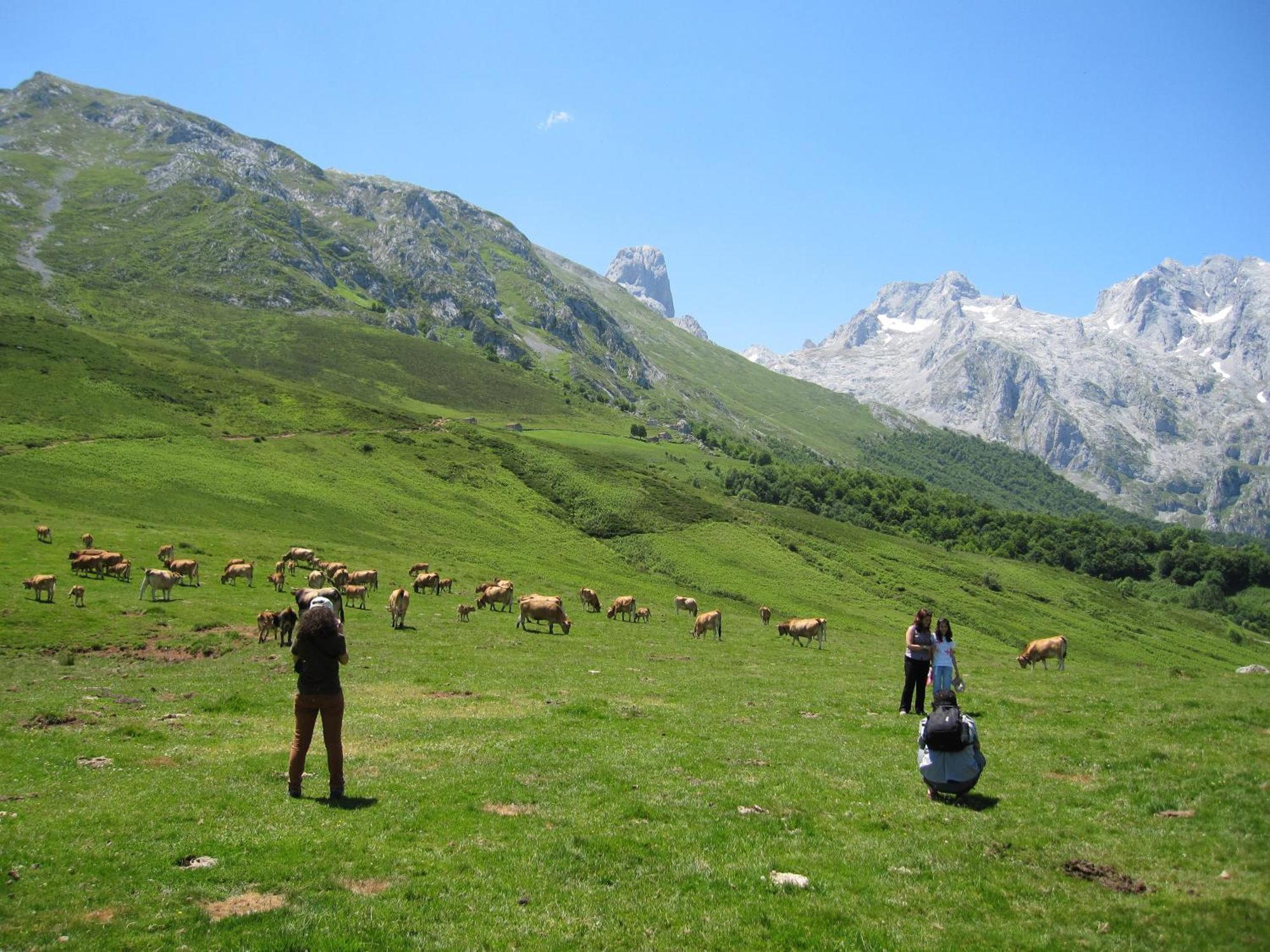 Hosteria Picos De Europa Potes Exteriör bild