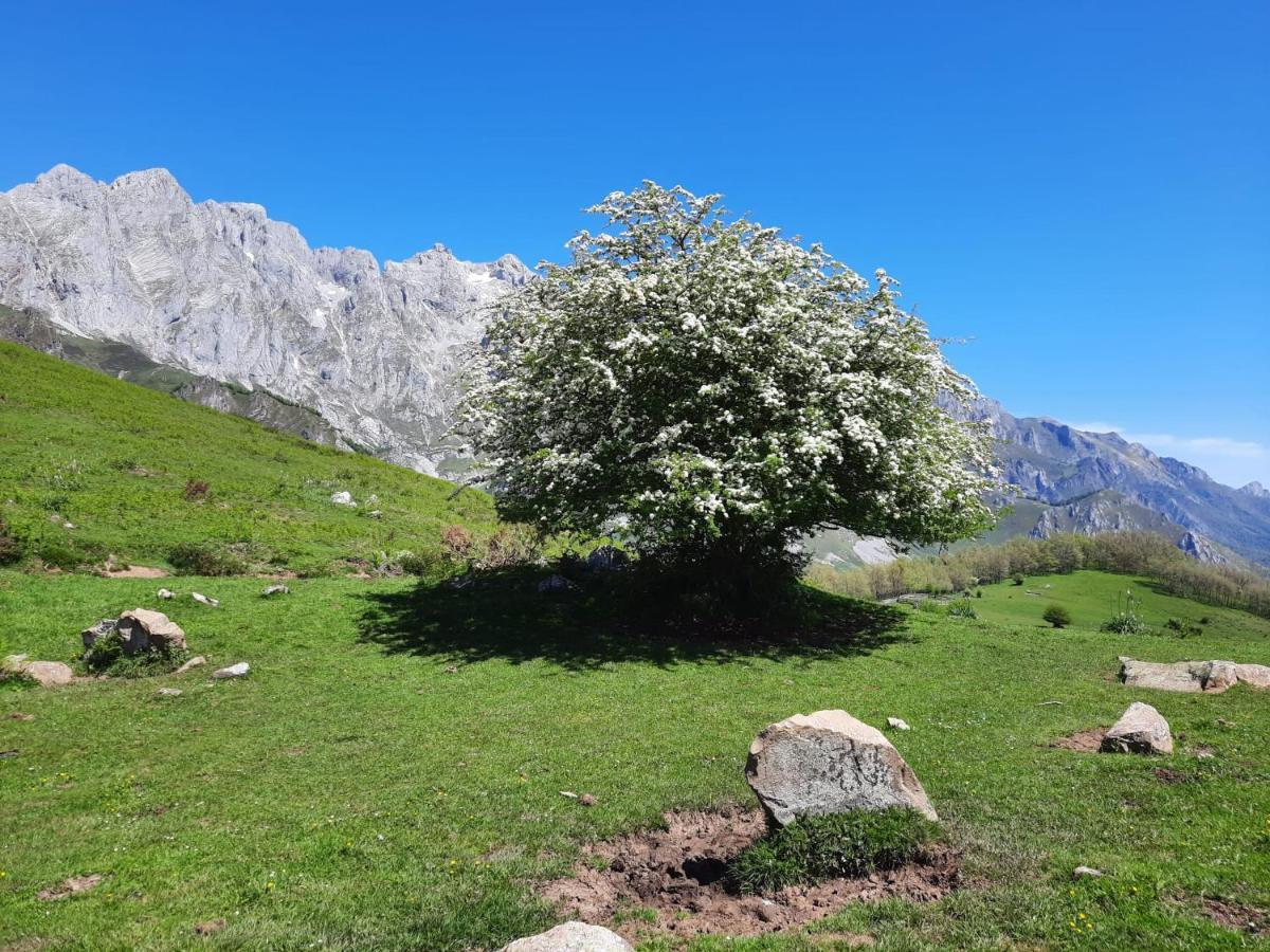 Hosteria Picos De Europa Potes Exteriör bild
